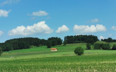 Obnova prirode: Što to znači za poljoprivrednike i druge koji gospodare zemljištem?