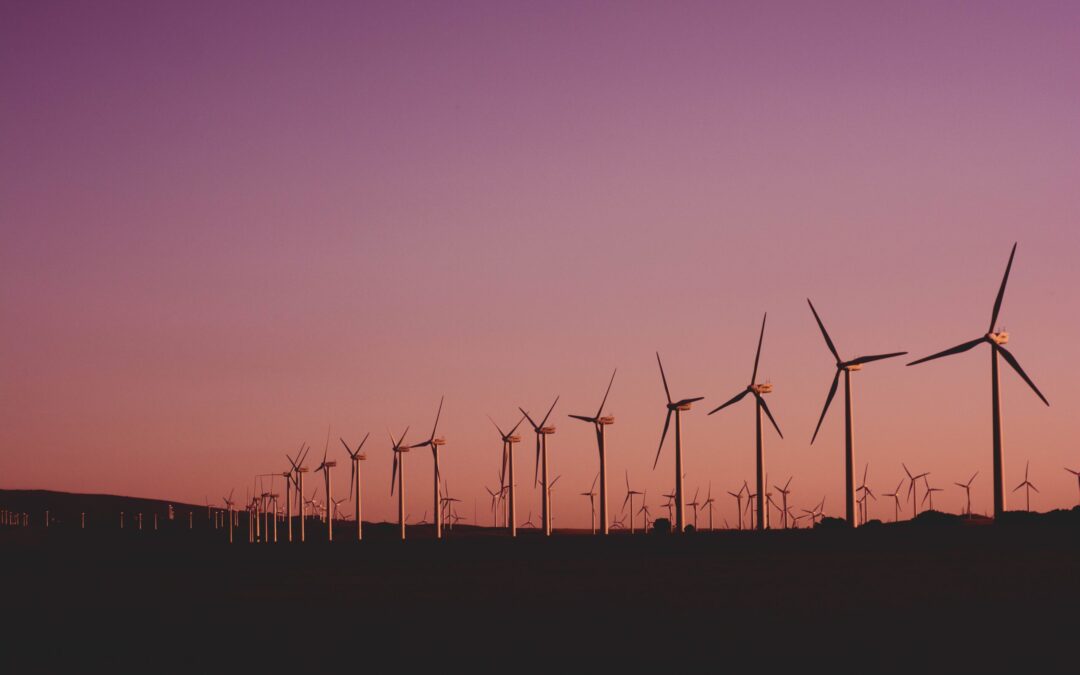 Zbog nastojanja zemalja da ojačaju energetsku sigurnost ubrzava se rast obnovljivih izvora energije