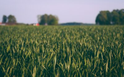 CAN: NECP-ovi su metoda Europske unije za provođenje klimatskih mjera