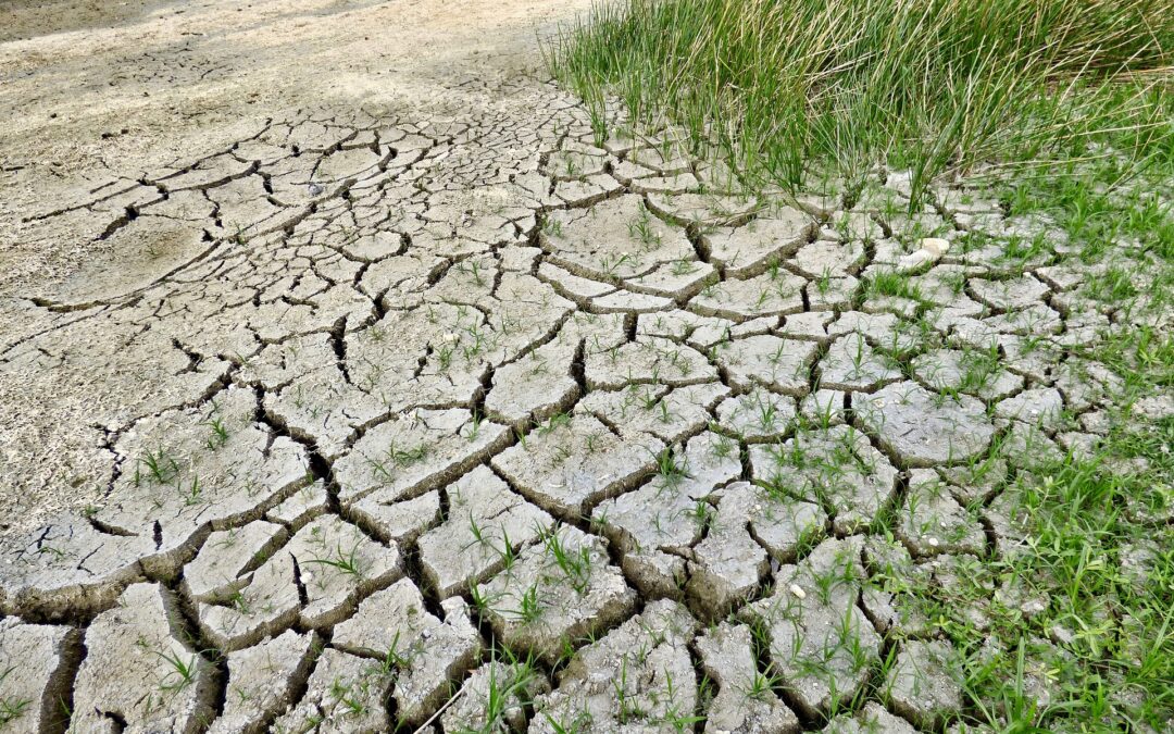 IPCC objavio veliko izvješće: Možemo i moramo prepoloviti globalne emisije do 2030.