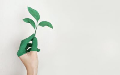 EEA: Europa mora snažnije raditi na implementaciji kružnog gospodarstva i smanjenju stvaranja otpada