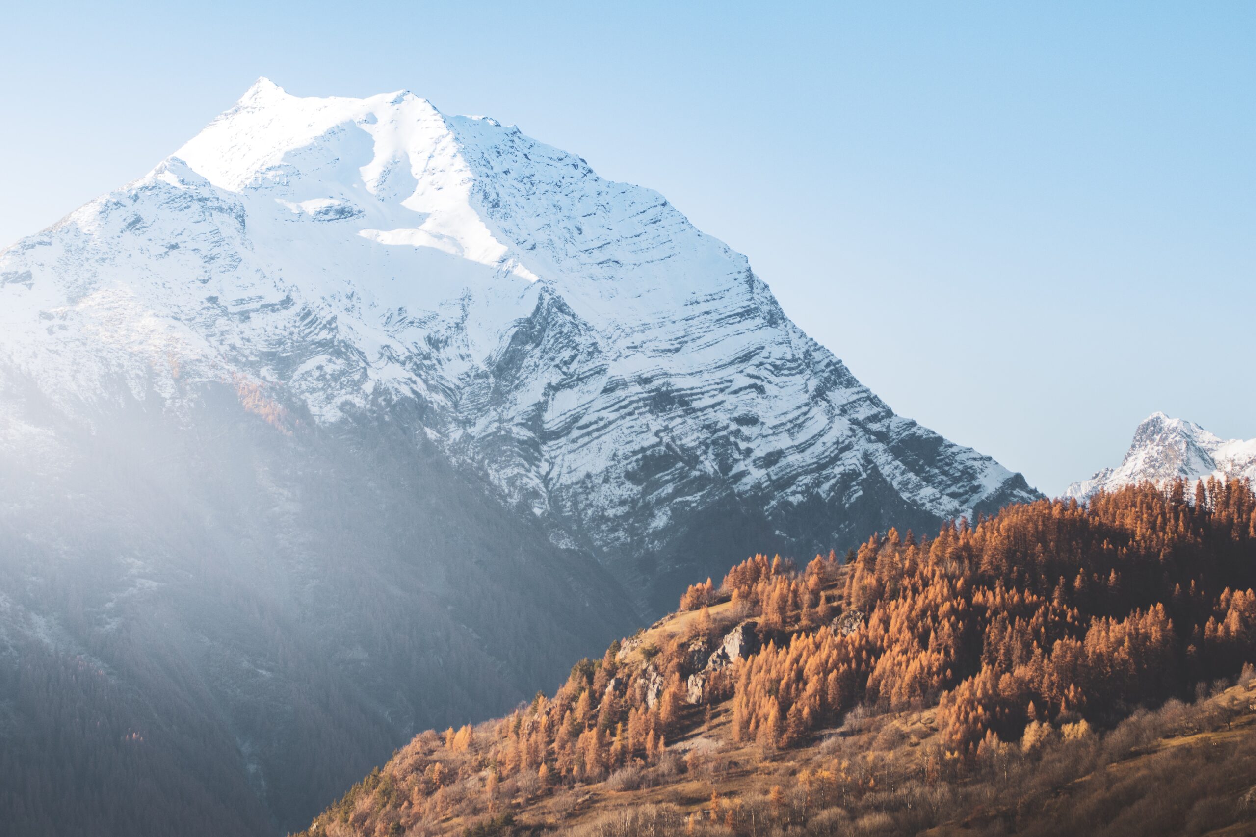 Photo by Simon Joseph on Unsplash