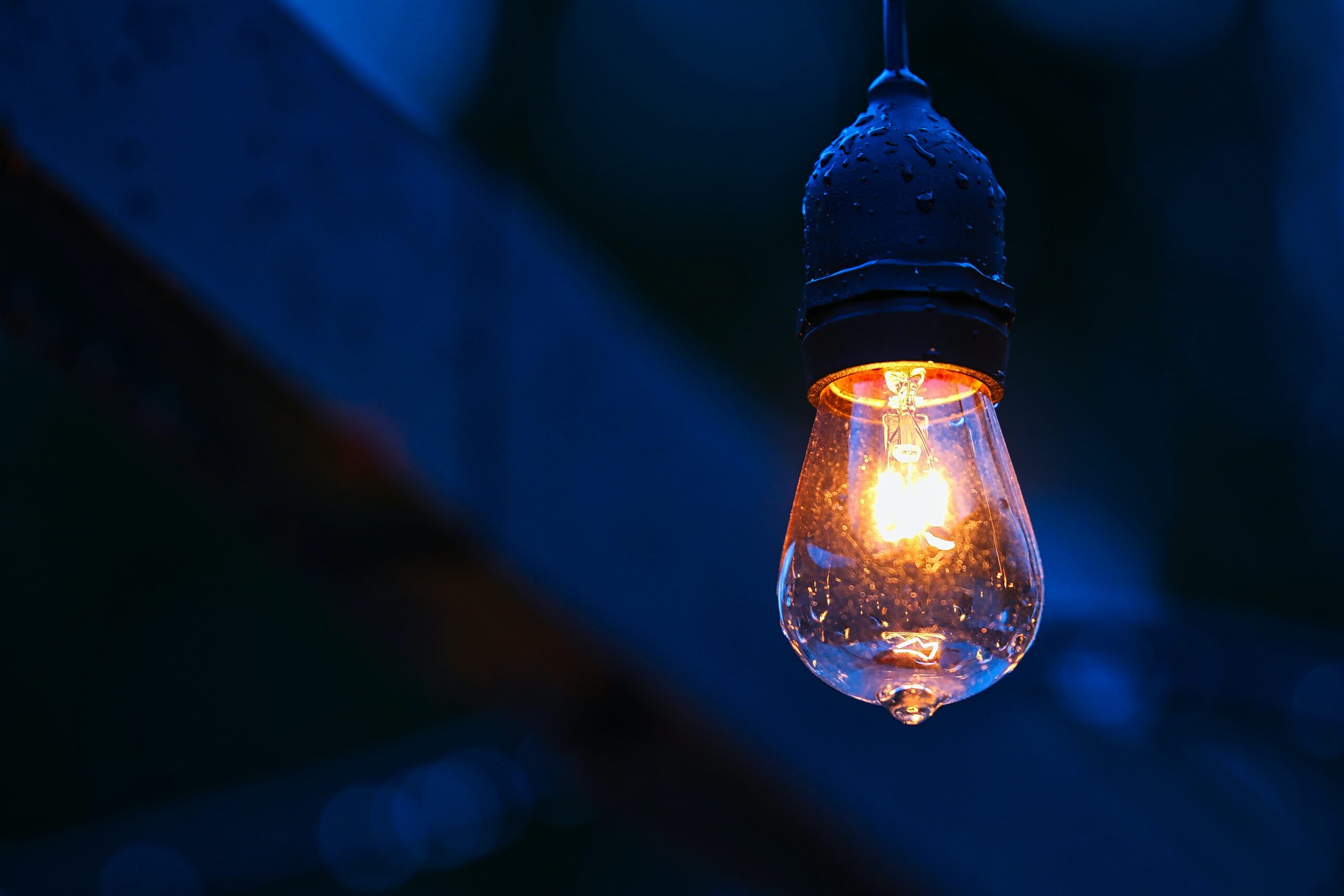 Photo by Thomas M. Evans on Unsplash
