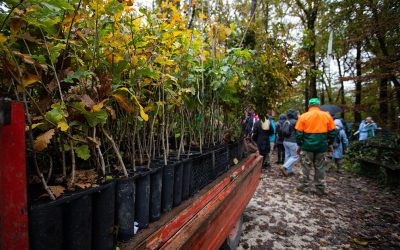 Europski klimatski pakt: posadili smo sadnice u Maksimiru!