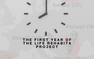The first year of the LIFE ReHABITA project